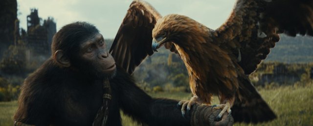 Małpy i ludzie: Jak zmieniała się "Planeta małp"?