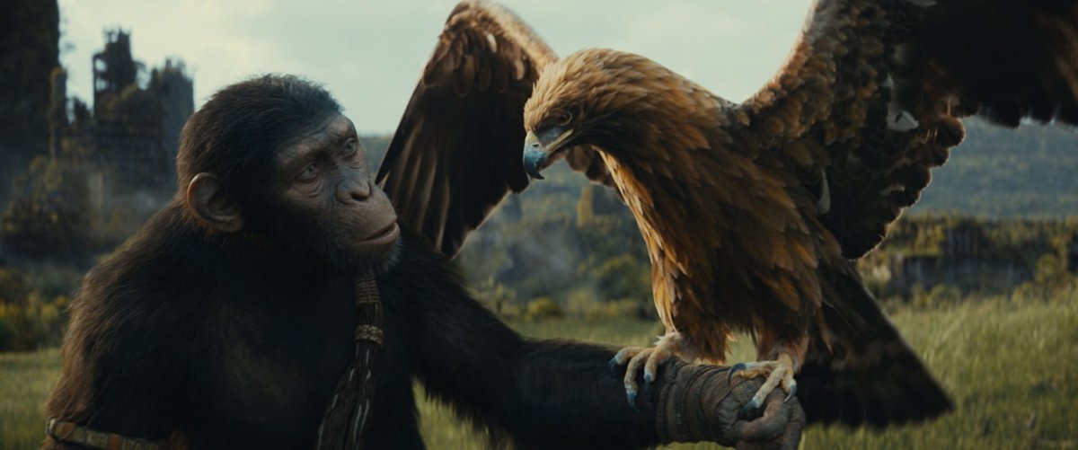 ‘Kingdom of the Planet of the Apes’ is coming to Disney+ soon. We know the premiere date