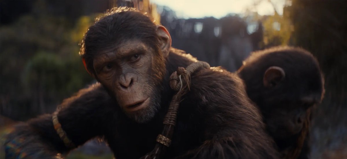 Want more Planet of the Apes?  There may be up to 5 of them – Filmweb