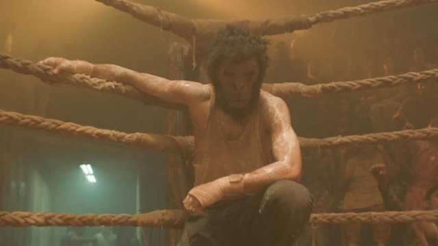 Małpowanie z brzytwą