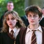 "Harry Potter": Nowi Harry, Ron i Hermiona wybrani! Mamy zdjęcie 