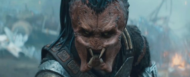 predator recenzja.png