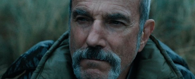 anemone recenzja.jpeg