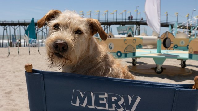 Merv Actually