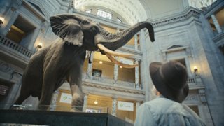 MDAG 2026: Mistrzowie i mistrzynie dokumentu. Co ich łączy?