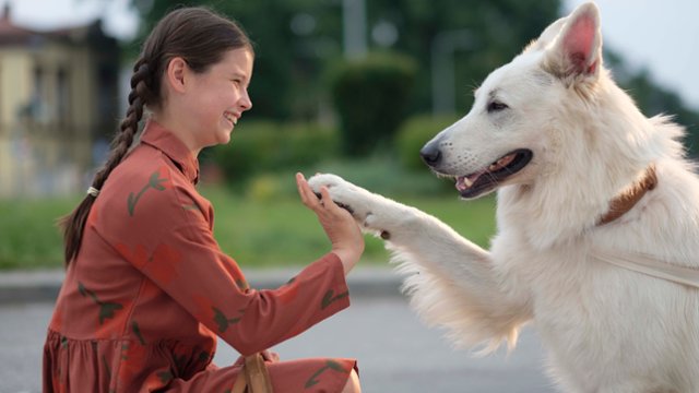 Dzieci to też ludzie. Co o młodych widzach m&oacute;wi polskie kino?