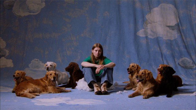 WMFF 2026: Terapia potrzebna od zaraz. Recenzujemy