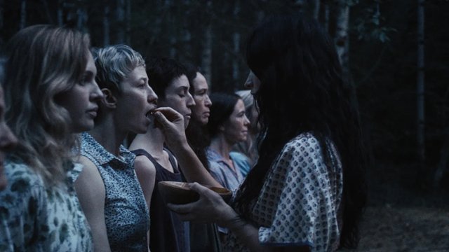 WMFF 2026: W kleszczach lęku, b&oacute;lu i sekty. Recenzujemy 