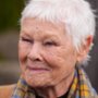 Judi Dench o "Kotach": "Boże. Nie mogę tego znieść!". Kto...