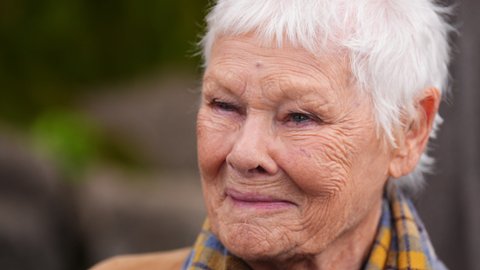 Judi Dench o "Kotach": "Boże. Nie mogę tego znieść!". Kto zawinił?