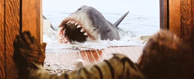 Czy "Szczęki" to horror? Spielberg stawia sprawę jasno