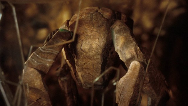 Zagrał Rocky'ego z "Projektu Hail Mary". Powalczy o Oscara?