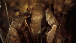 Zagrał Rocky'ego z "Projektu Hail Mary". Powalczy o Oscara?