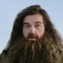 "Harry Potter": serialowa interpretacja Hagrida podzieli widz&oacute;w?