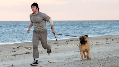 "Jestem Rocky" powalczy o Oscara?