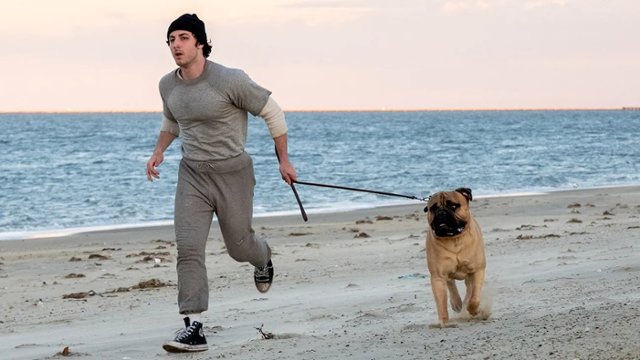 "Jestem Rocky" powalczy o Oscara?