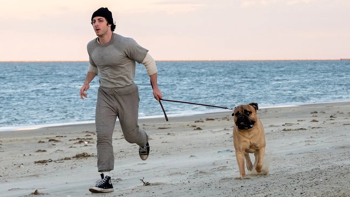 "Jestem Rocky" powalczy o Oscara?