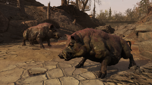 FO76_BurningSprings_0925 (1).png