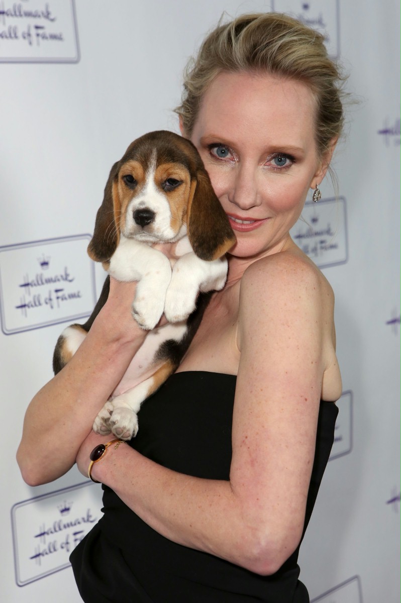 Anne Heche pobije się z Sandrą Oh i zakocha w Alicii Silverstone