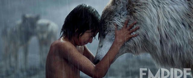 FOTO: Mowgli, wilki i deszcz