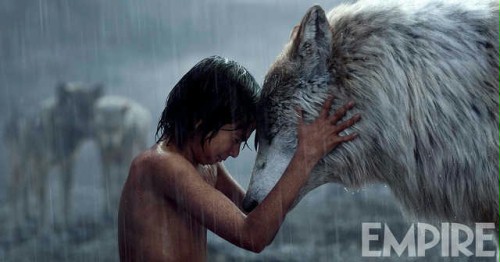 FOTO: Mowgli, wilki i deszcz