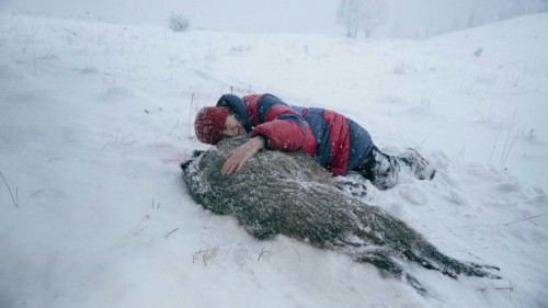 BERLINALE 2017: "Pokot" Agnieszki Holland powalczy o Złotego...