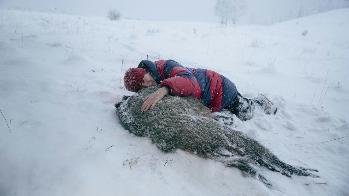 BERLINALE 2017: "Pokot" Agnieszki Holland powalczy o Złotego...