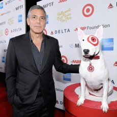 George Clooney otrzyma Honorowego Cezara