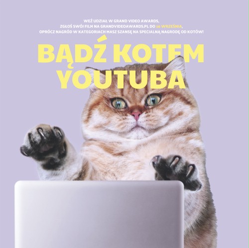 GVA_koty_bezsponsorów_225x2752.jpg