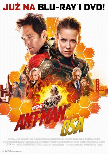 "Ant-Man i Osa" na Blu-ray i DVD od 5 grudnia
