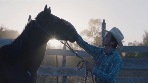 Amerykańscy krytycy rozdali nagrody, "Jeździec" filmem roku