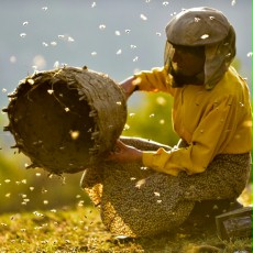 The Best of Docs – najlepsze filmy festiwalu w Kinotece