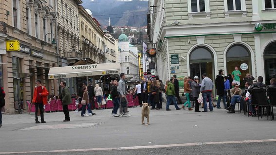 Lost Lost Lost – kino z obrzeży podczas 20. MFF Nowe Horyzonty