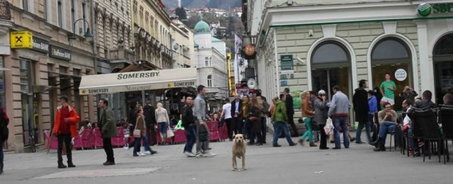 image302940.jpg