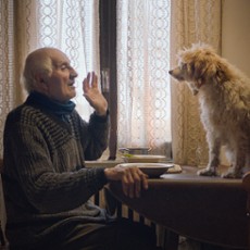 Sekcja Ale kino+ na 21. Nowych Horyzontach 