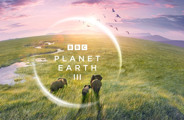 "Planeta Ziemia III": Najbliższy odcinek 18 lutego w BBC EARTH