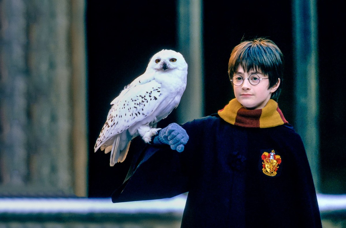 The “Harry Potter” series is approaching.  We know when the premiere is