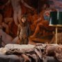 Fassbinder. Wielka retrospektywa w Kinie Iluzjon