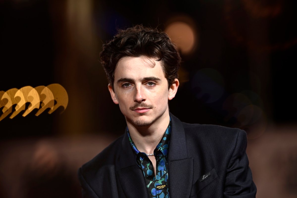 Timothée Chalamet zapłacił za to, że przyjechał rowerem na premierę ...