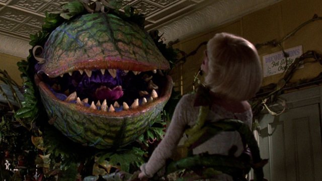"Sklepik z horrorami" zamknięty. Nie będzie remake'u?