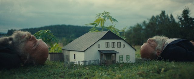 radeji-zesilet-vdivocine.jpg