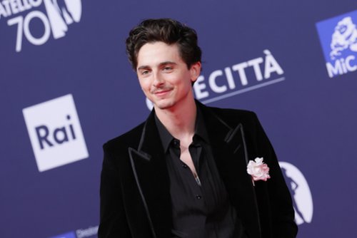 Chalamet zdradza, czy zagra w serialu, i odpowiada swoim krytykom