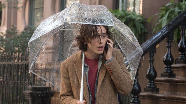 Chalamet żałował, że żałował występu w filmie Allena?