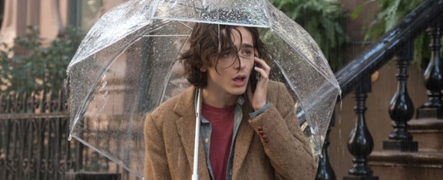 Timoth&eacute;e Chalamet żałował, że żałował występu w filmie Woody'ego...