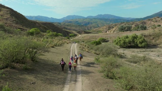 Karnety na festiwal Nowe Horyzonty już w sprzedaży