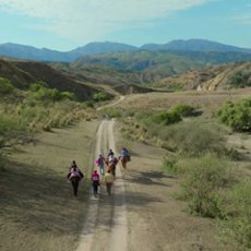 Karnety na festiwal Nowe Horyzonty już w sprzedaży. W programie: instytucje