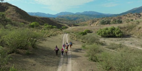 Karnety na festiwal Nowe Horyzonty już w sprzedaży