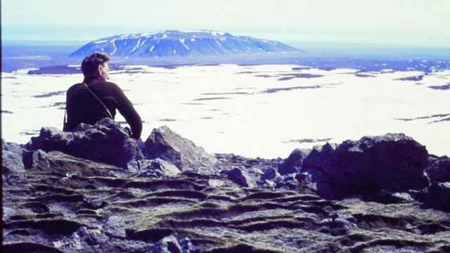 Green Warsaw Award i Nagroda WWF Polska na 23. MDAG