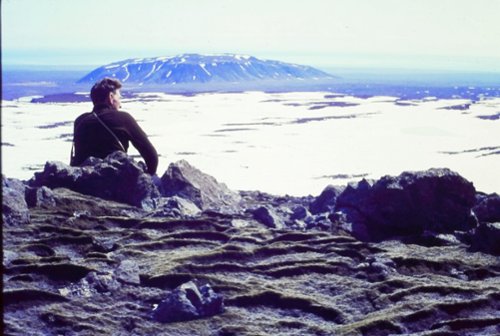 Green Warsaw Award i Nagroda WWF Polska na 23. MDAG