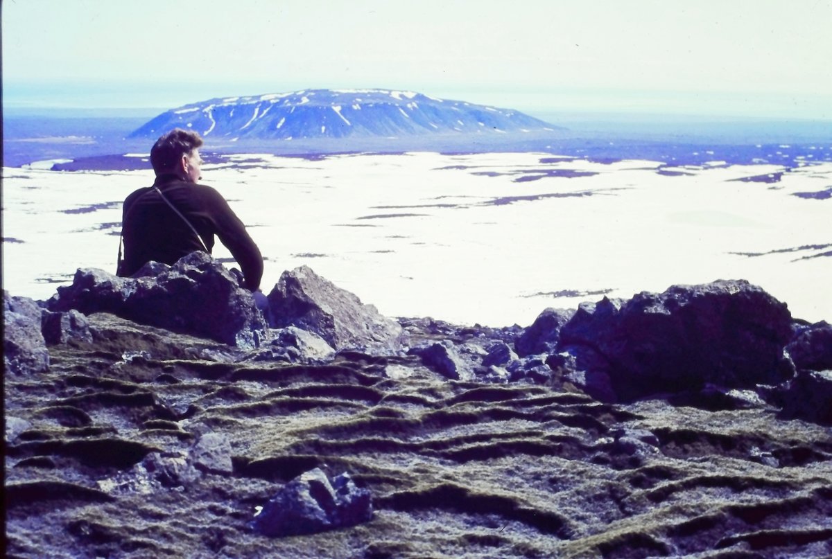 Green Warsaw Award i Nagroda WWF Polska na 23. MDAG